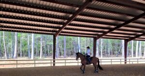 The Benefits of a Covered Metal Horse Riding Arena