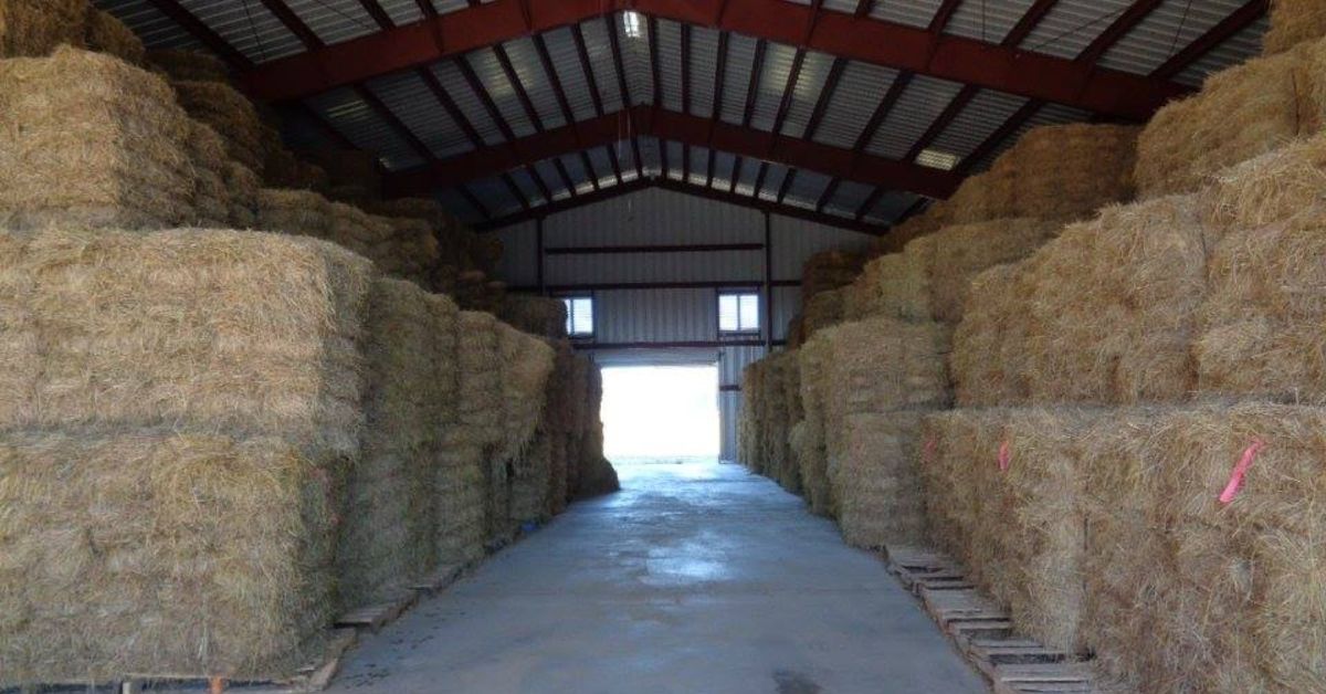 Tips for Maintaining Your Agricultural Steel Building