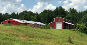 Metal vs. Wood Agricultural Buildings: Which Is Best?